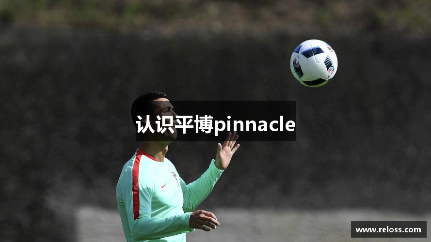 认识平博pinnacle